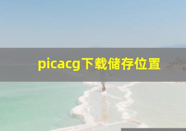 picacg下载储存位置