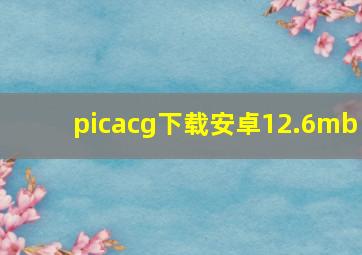 picacg下载安卓12.6mb