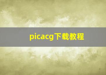 picacg下载教程