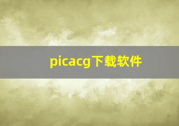 picacg下载软件