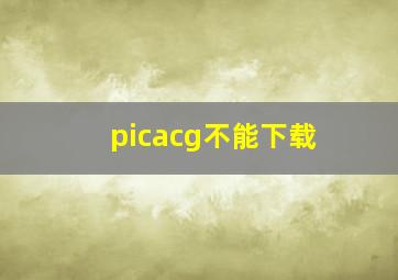 picacg不能下载