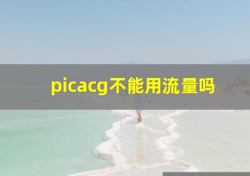 picacg不能用流量吗