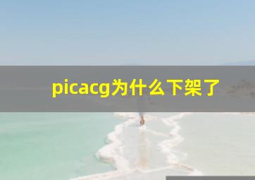 picacg为什么下架了