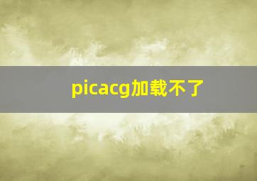 picacg加载不了