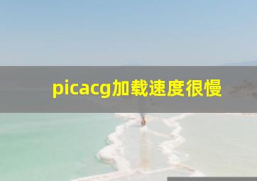 picacg加载速度很慢