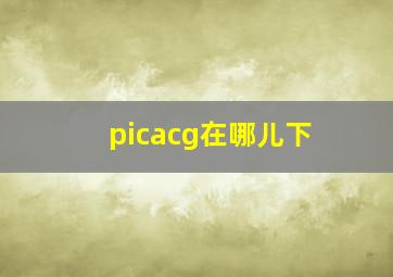 picacg在哪儿下