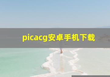 picacg安卓手机下载