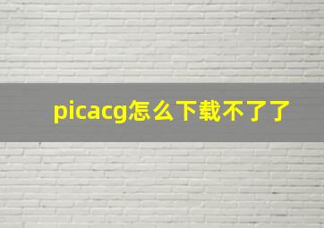 picacg怎么下载不了了