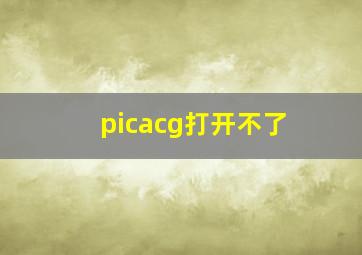 picacg打开不了