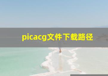 picacg文件下载路径