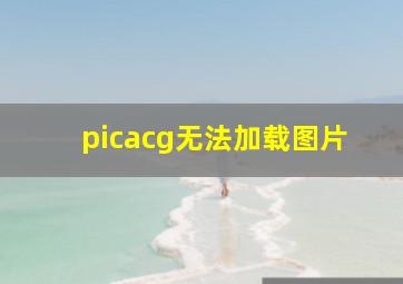 picacg无法加载图片