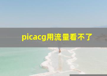 picacg用流量看不了