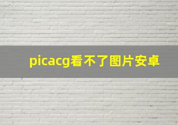 picacg看不了图片安卓