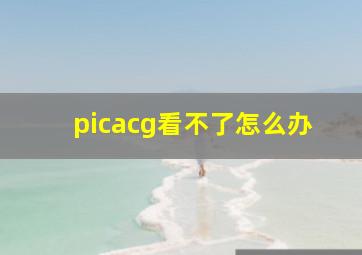 picacg看不了怎么办