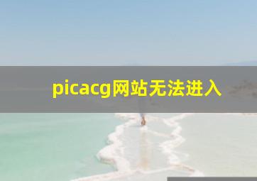 picacg网站无法进入