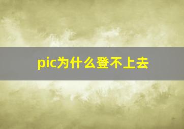 pic为什么登不上去