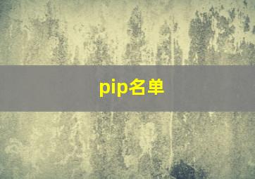 pip名单