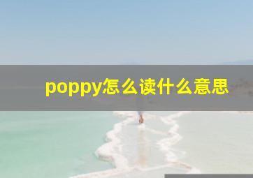 poppy怎么读什么意思