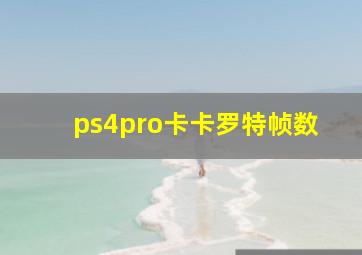 ps4pro卡卡罗特帧数