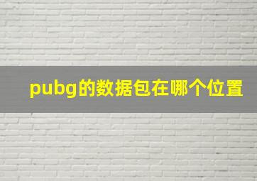 pubg的数据包在哪个位置