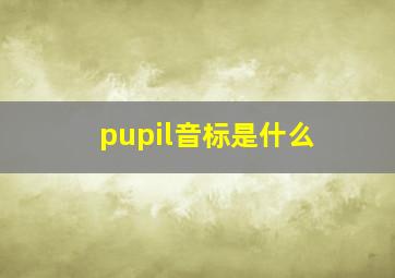 pupil音标是什么