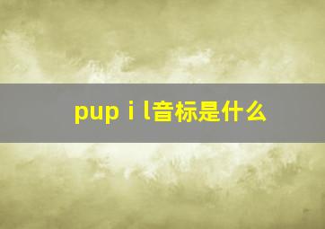 pupⅰl音标是什么