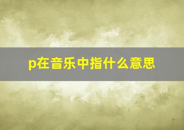 p在音乐中指什么意思