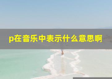 p在音乐中表示什么意思啊