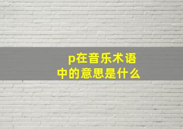 p在音乐术语中的意思是什么