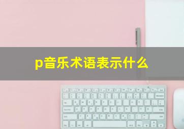 p音乐术语表示什么