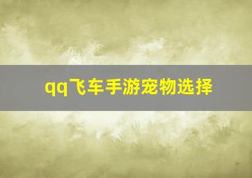 qq飞车手游宠物选择