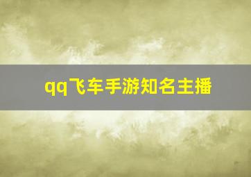 qq飞车手游知名主播