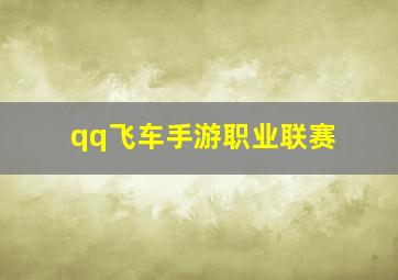 qq飞车手游职业联赛