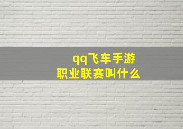 qq飞车手游职业联赛叫什么