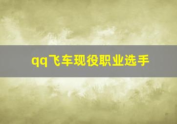 qq飞车现役职业选手