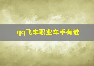 qq飞车职业车手有谁