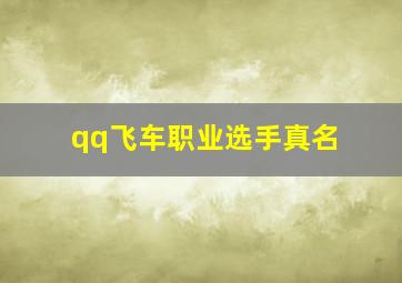 qq飞车职业选手真名