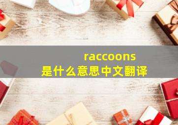 raccoons是什么意思中文翻译