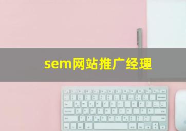 sem网站推广经理