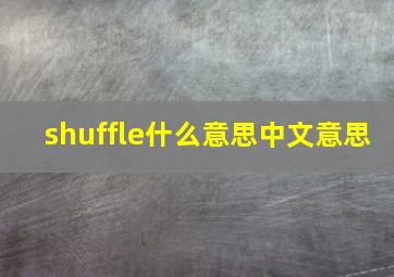 shuffle什么意思中文意思