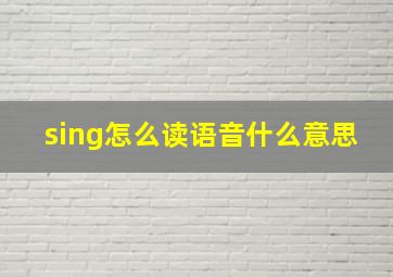 sing怎么读语音什么意思