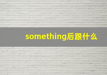 something后跟什么