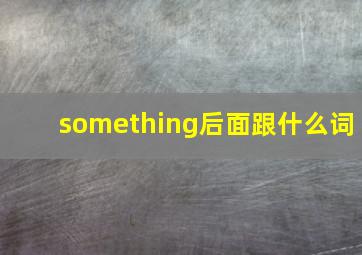 something后面跟什么词