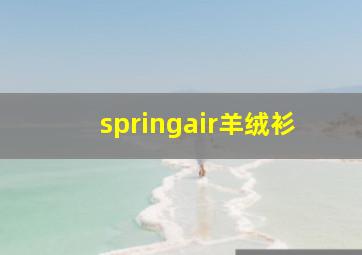 springair羊绒衫