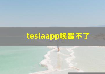 teslaapp唤醒不了