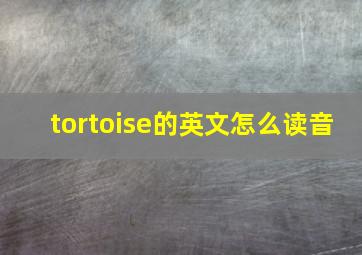 tortoise的英文怎么读音