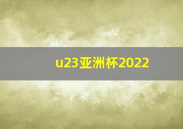 u23亚洲杯2022