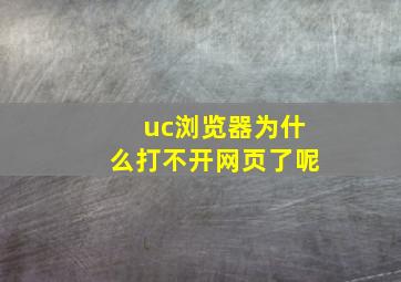 uc浏览器为什么打不开网页了呢