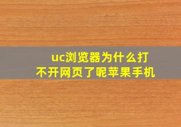 uc浏览器为什么打不开网页了呢苹果手机