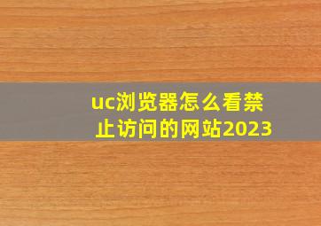 uc浏览器怎么看禁止访问的网站2023